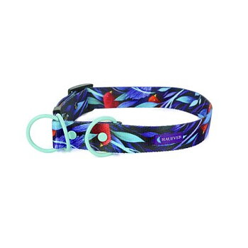 Collar 2 in 1 - ATLANTIS
