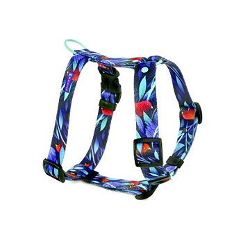 Harness ATLANTIS
