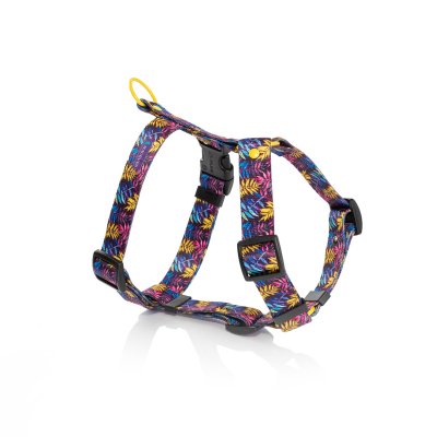 Harness BABIE LATO
