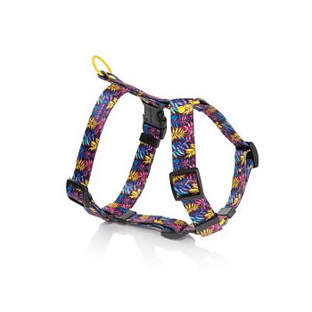 Harness BABIE LATO