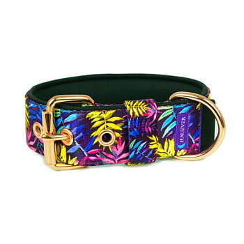 Collar Babie Lato