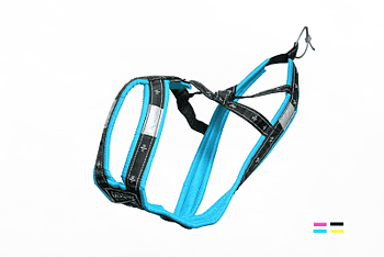 Retro Harness Seppala Turquoise