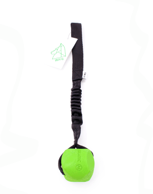 Wdog Chuckit Erratic Bungee