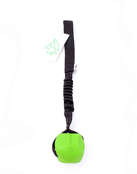 Wdog Chuckit Erratic Bungee