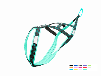 KOYUK Sele mint