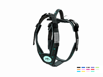 FREESPIRIT Harness black