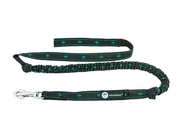 KOYUK bungee leash för 1 hund