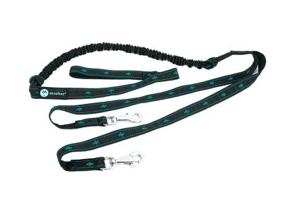 KOYUK bungee leash för 2 hundar