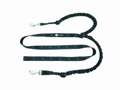 ANVIK bungee leash för 2 hundar