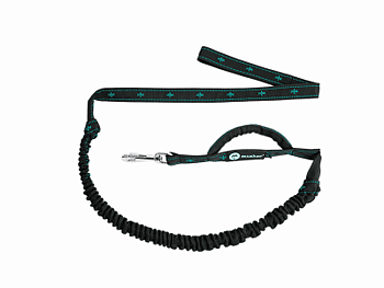 ANVIK bungee leash för 1 hund