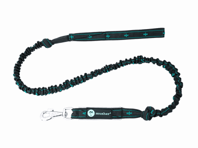 TAKOTNA bungee leash for 1 dog