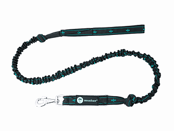 TAKOTNA bungee leash for 1 dog