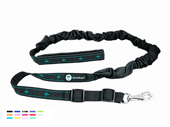 FREESPIRIT bungee leash för 1 hund