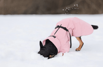 PAIKKA Visibility Winter Reflective Coat - 2