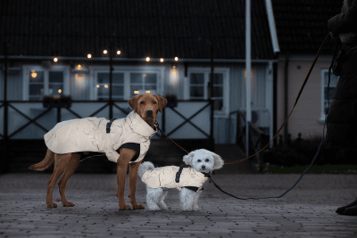 Dogman Reflextäcke Roffe light