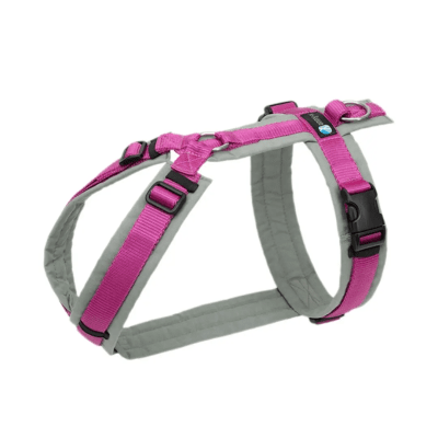 Anny-X Fun Hundsele strl XL - 7