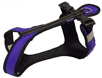 Zero DC Shorter Sele XL - Lila
