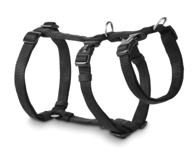 Professional Harness No Escape