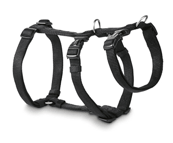 Professional Harness No Escape