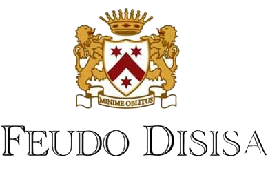 Disisa