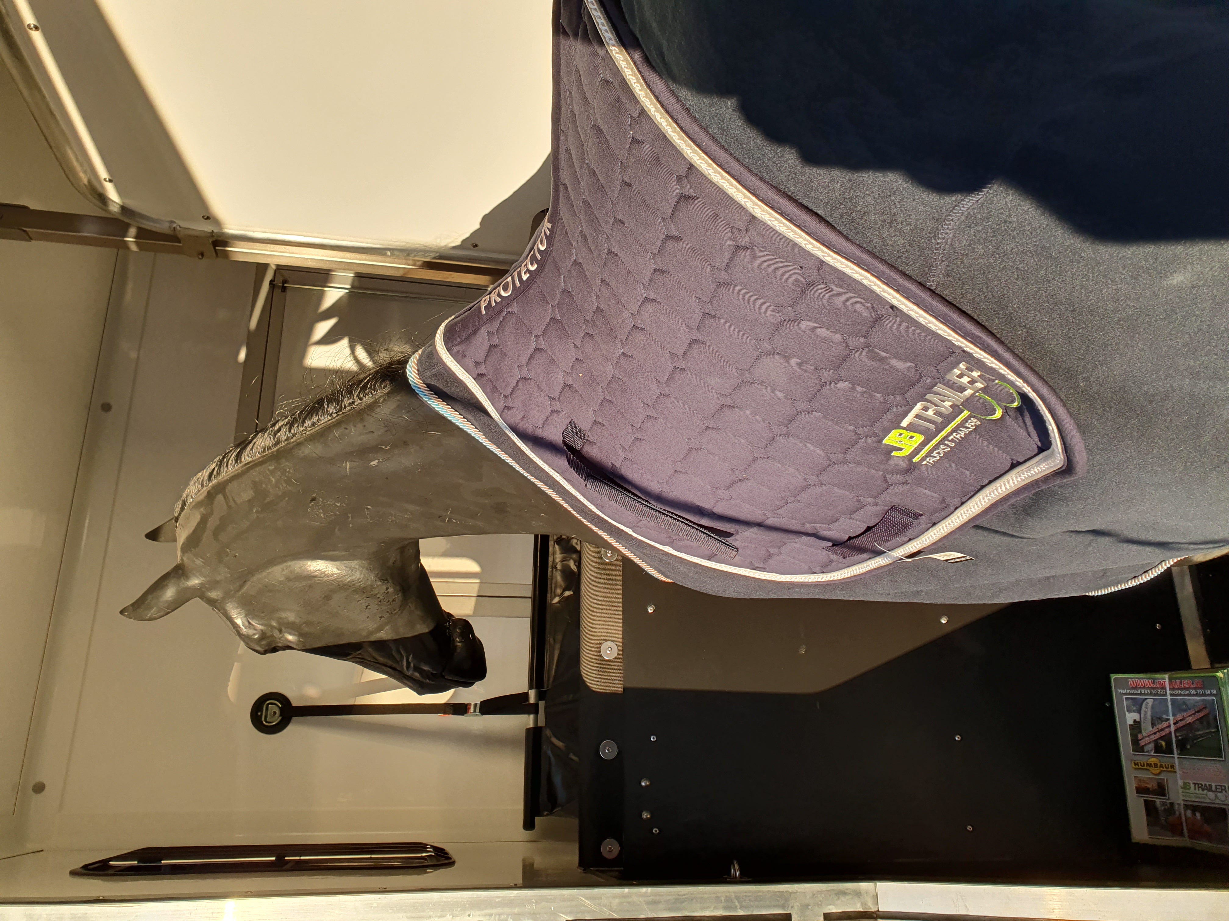 Cavaleno Lux    - 6
