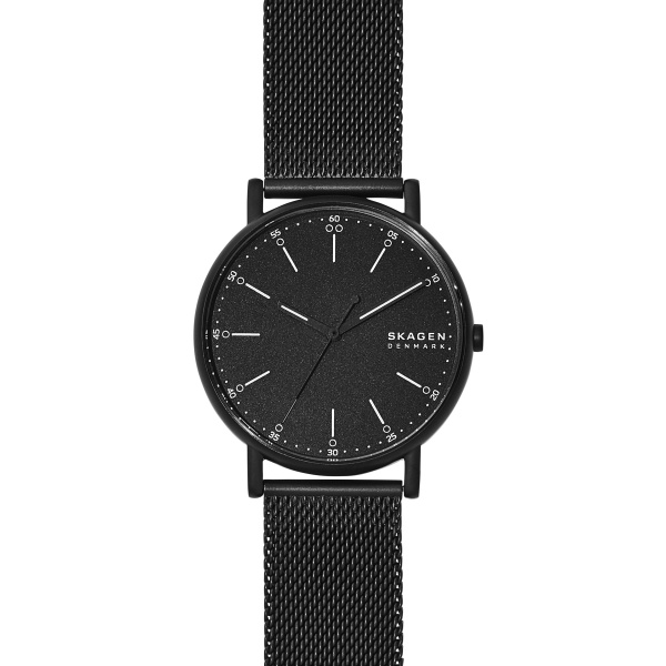 Skagen Signatur 40 mm SKW6579