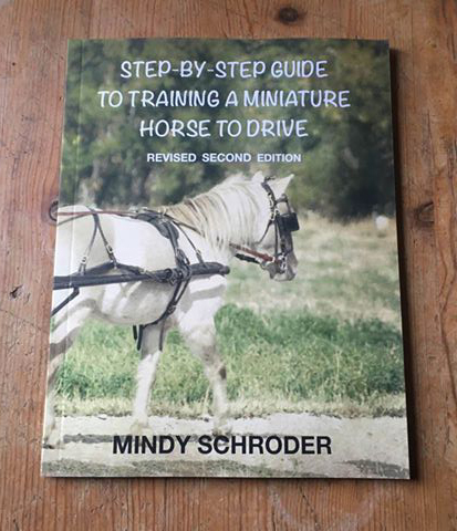 Step By Step Guide To Training A Miniature Horse To Drive