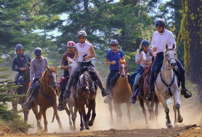 100-Mile Tevis Cup: One of the Top Ten Endurance Competitions in the World!  
