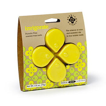 Seeking Balance Melts 73g Invigorate