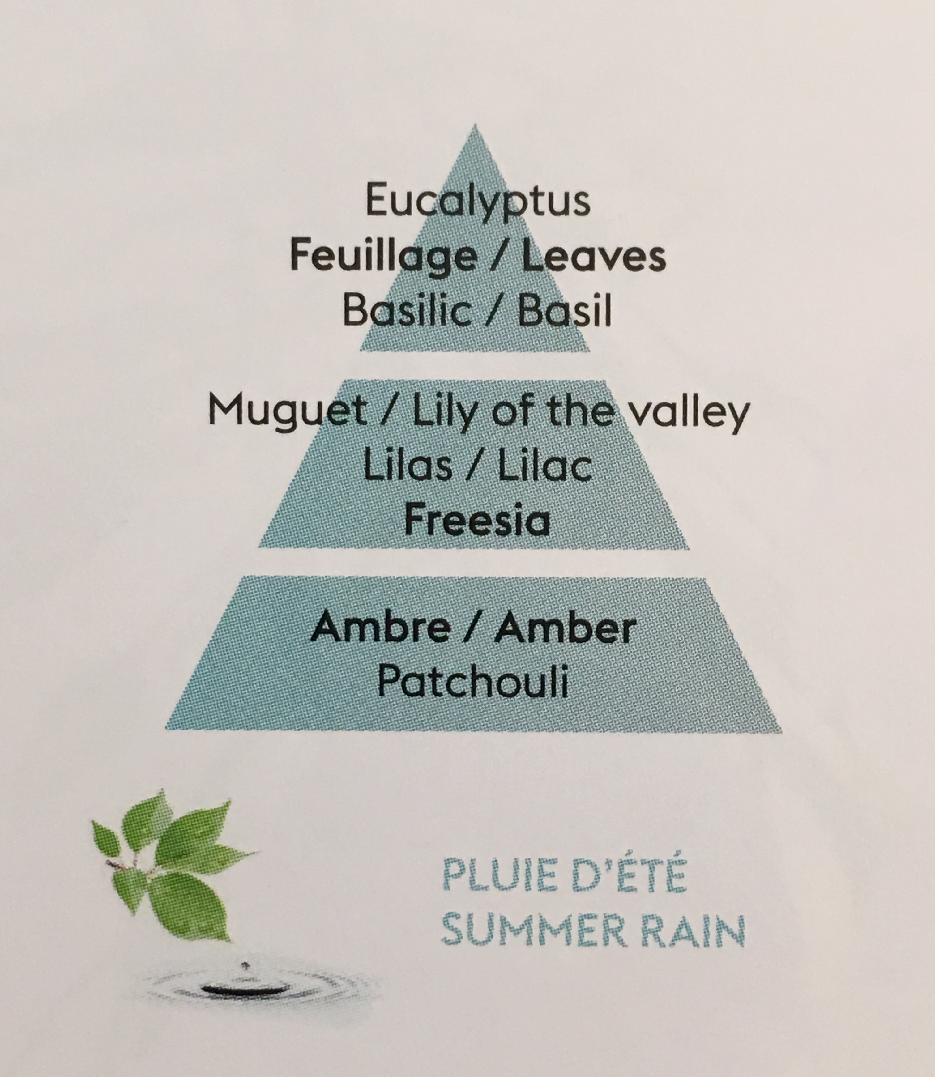 Summer Rain - 3