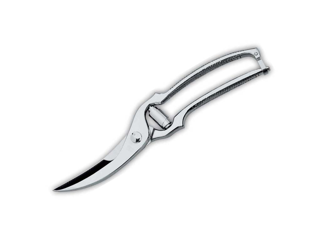 Fågelsax 25 cm, rostfri