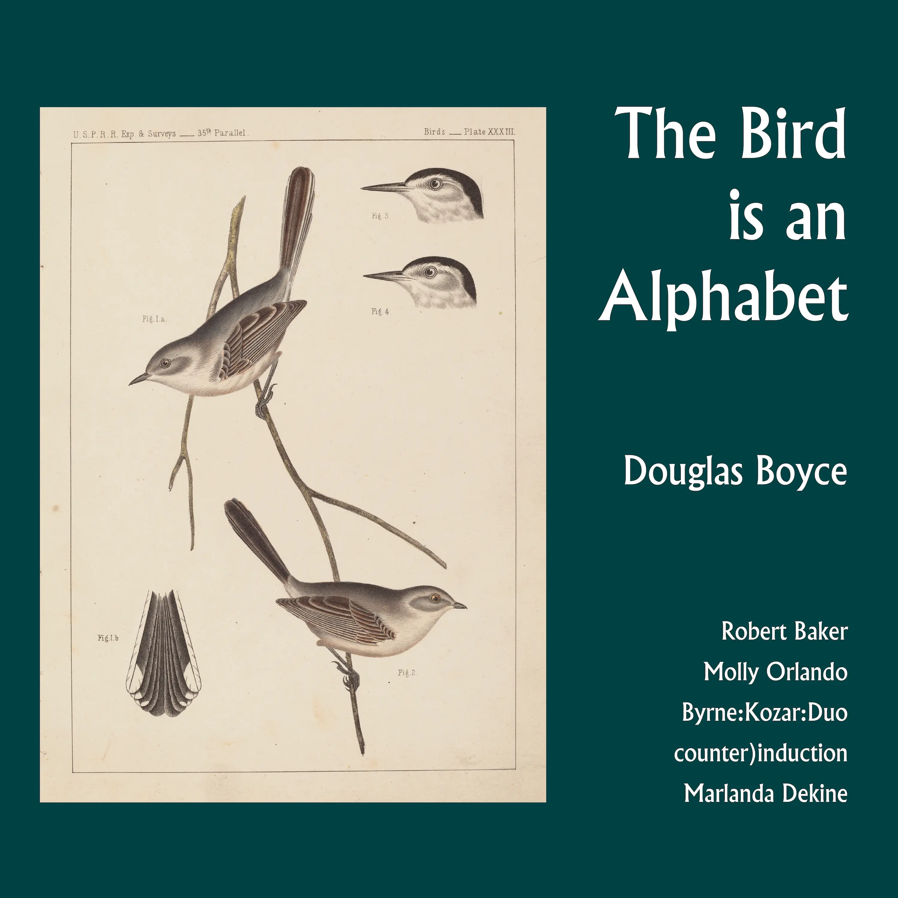 Douglas Boyce: The Bird Is an Alphabet