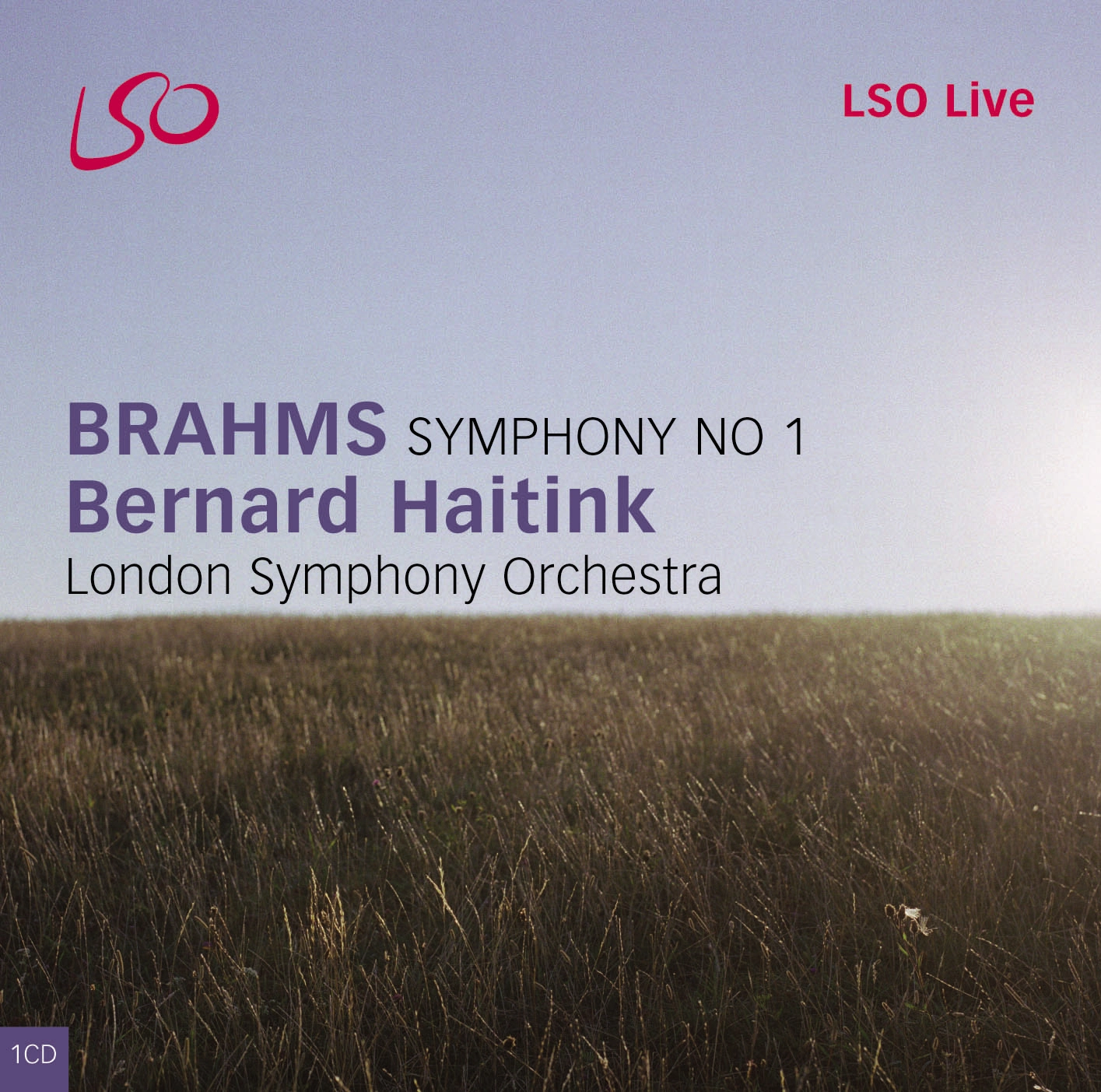 Brahms: Symphony No. 1 - Tragic Overture