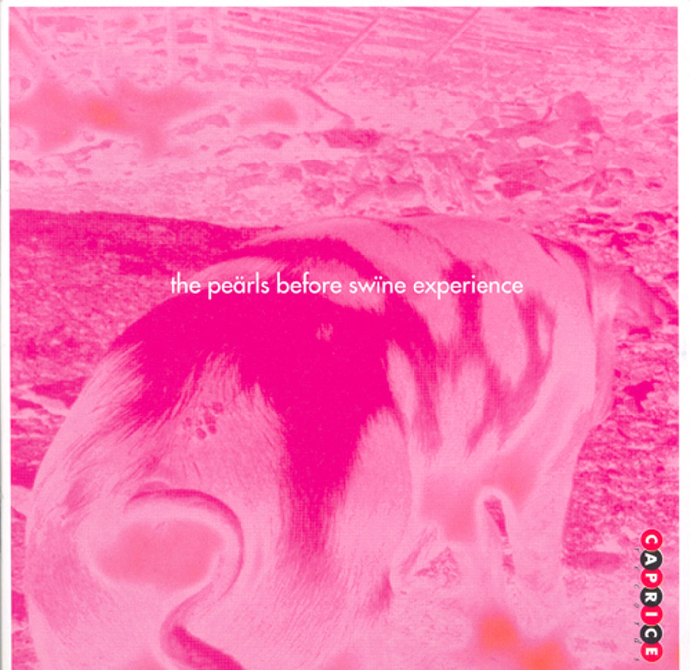 Pearls Before The Swine Experience (The)