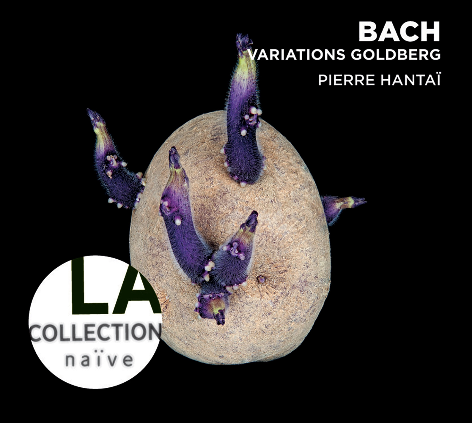 Bach: Goldberg Variations, BWV 988