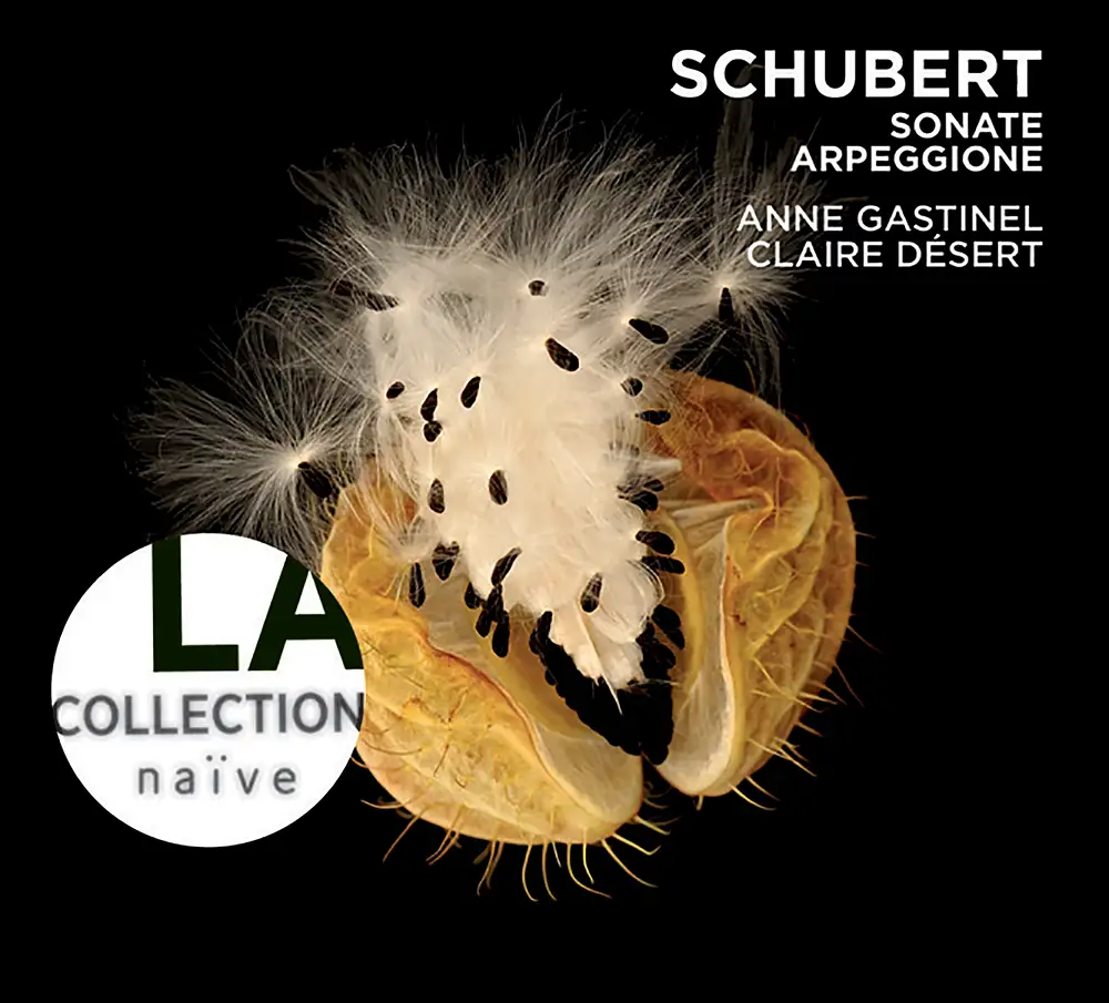 Schubert: Sonate Arpeggione - Sonatina, D. 384 - Lieder transcriptions