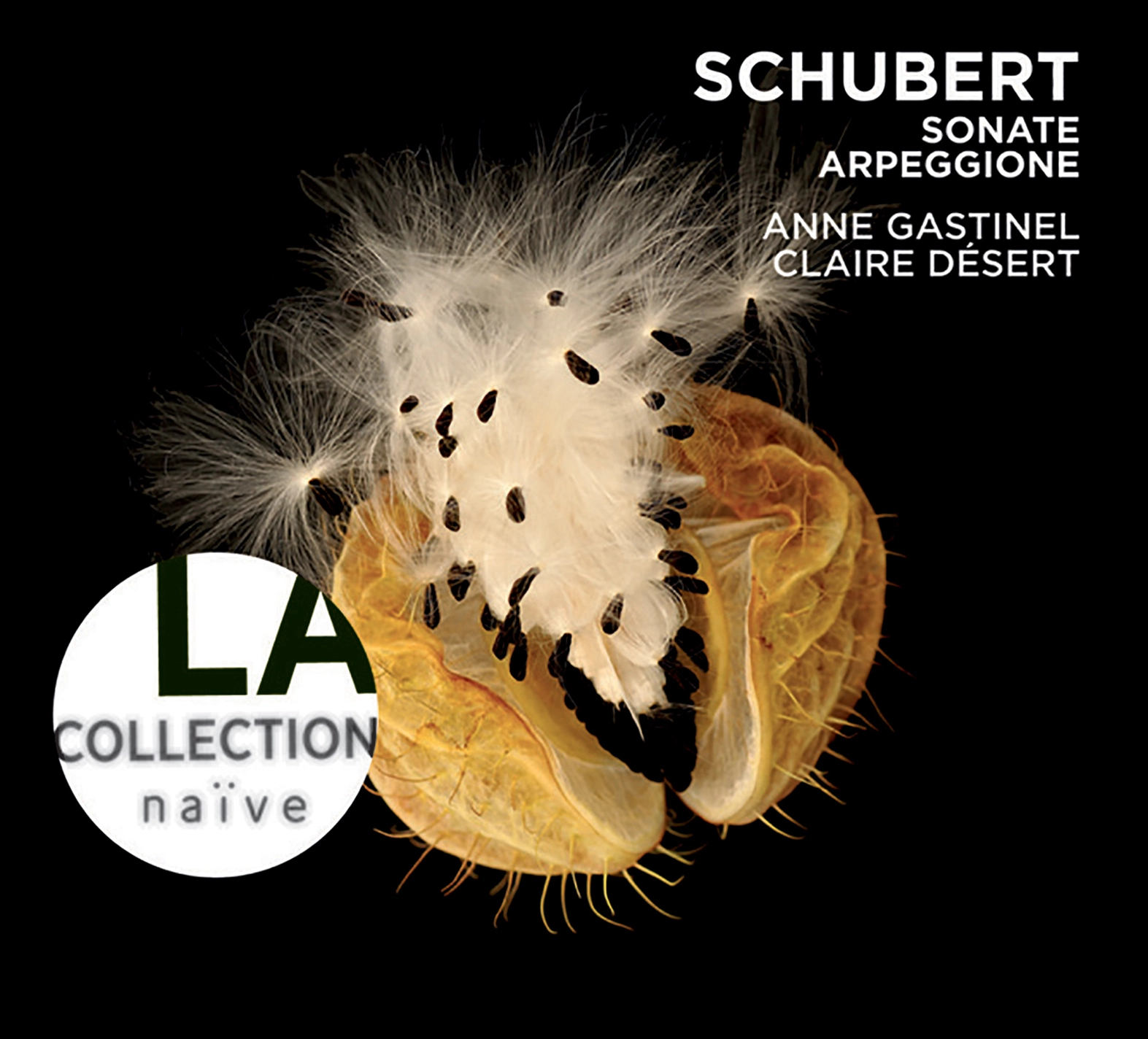 Schubert: Sonate Arpeggione - Sonatina, D. 384 -  Lieder transcriptions