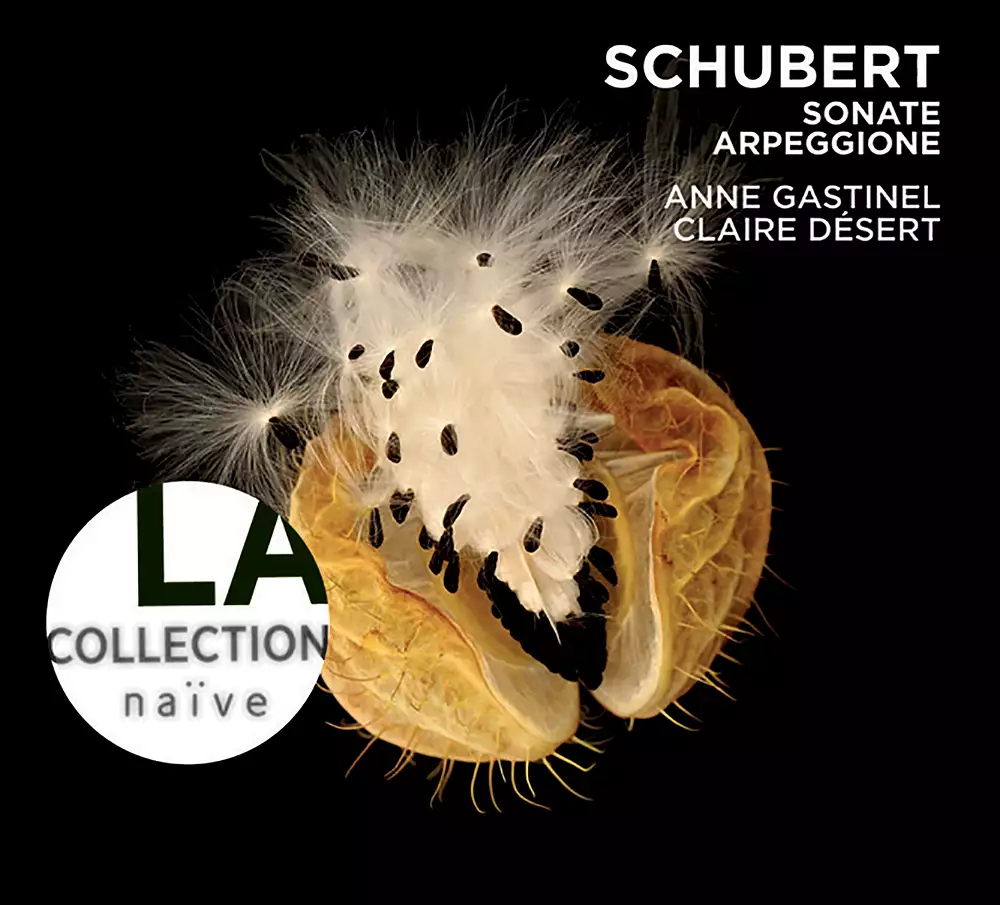 Schubert: Sonate Arpeggione - Sonatina, D. 384 - Lieder transcriptions