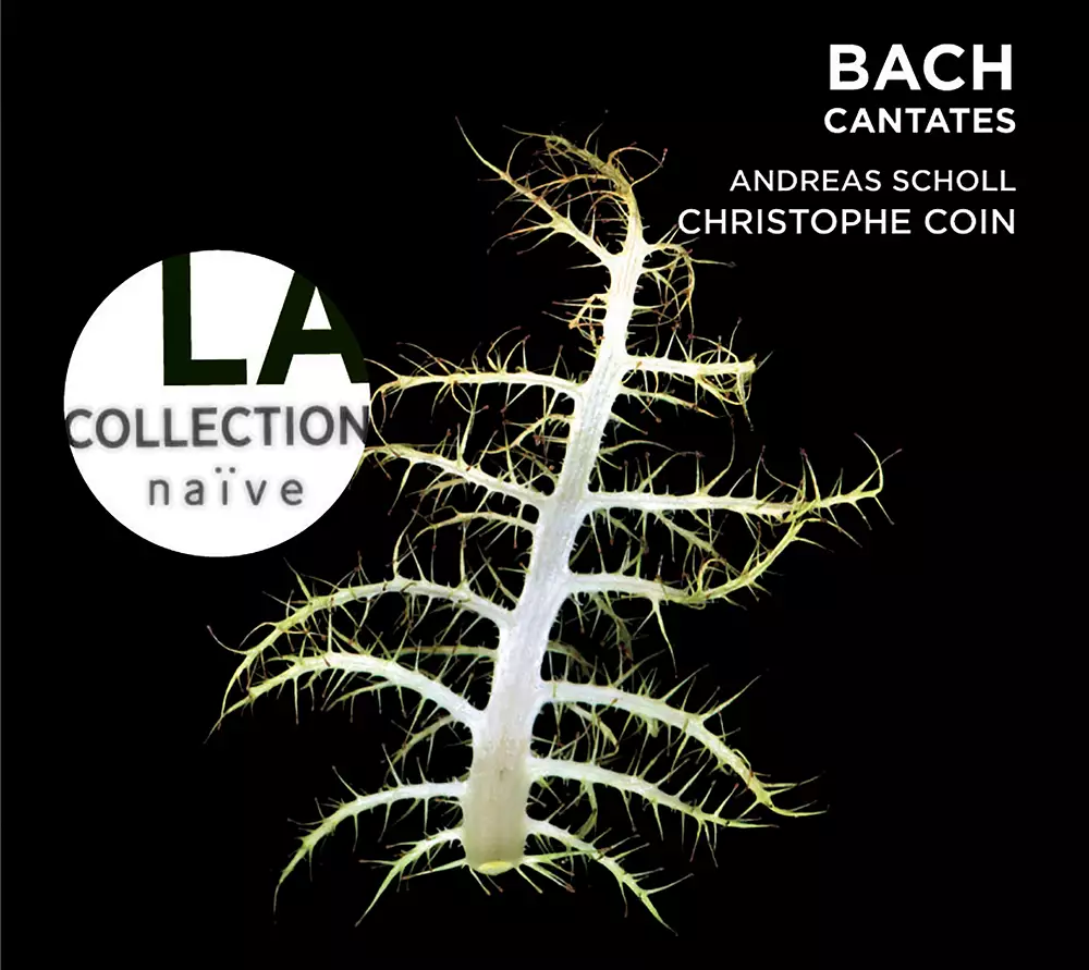 Bach: Cantatas