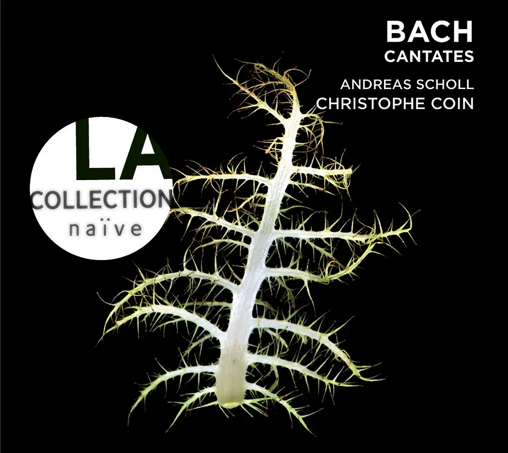 Bach: Cantatas