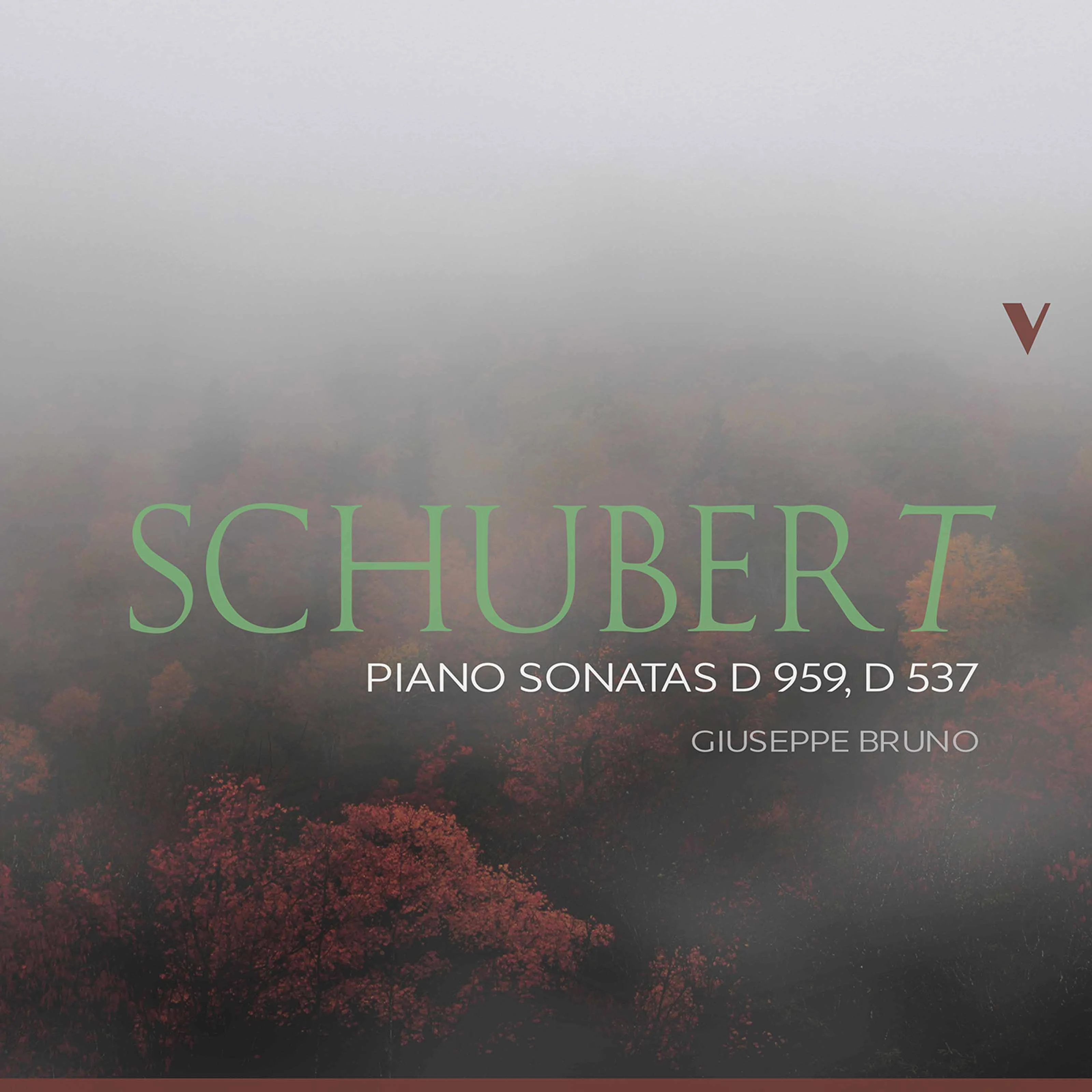 Schubert: Piano Sonatas, D. 959 & D. 537