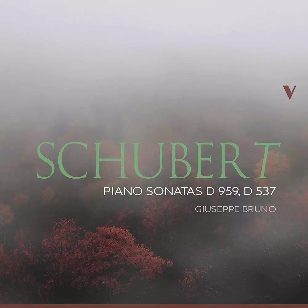 Schubert: Piano Sonatas, D. 959 & D. 537
