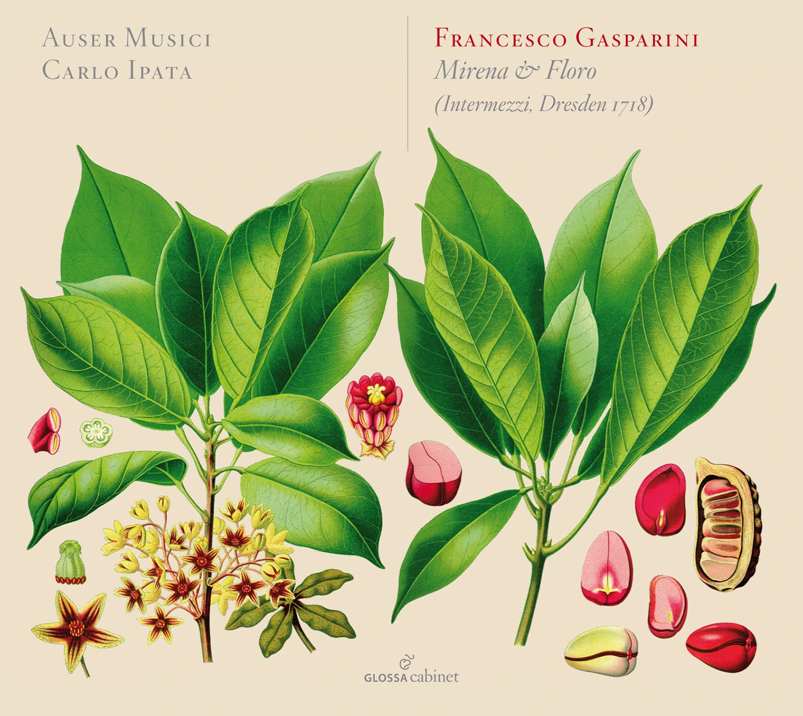 Gasparini: Mirena e Floro