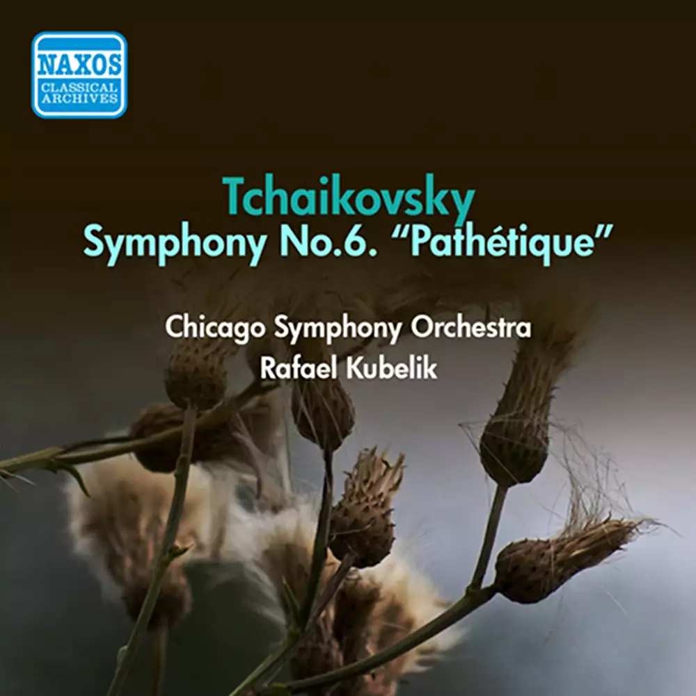 Tchaikovsky, P.I.: Symphony No. 6,