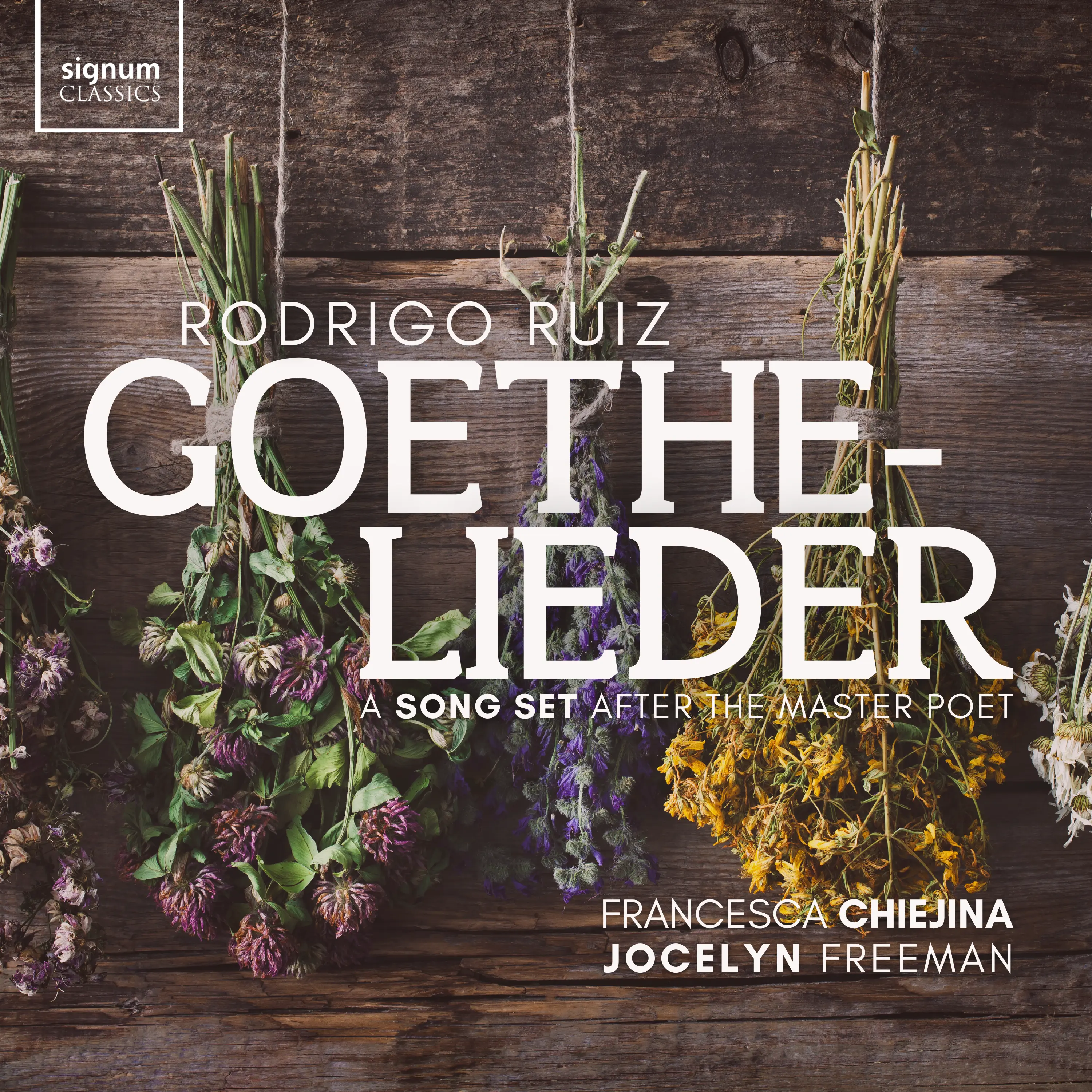 Goethe-Lieder