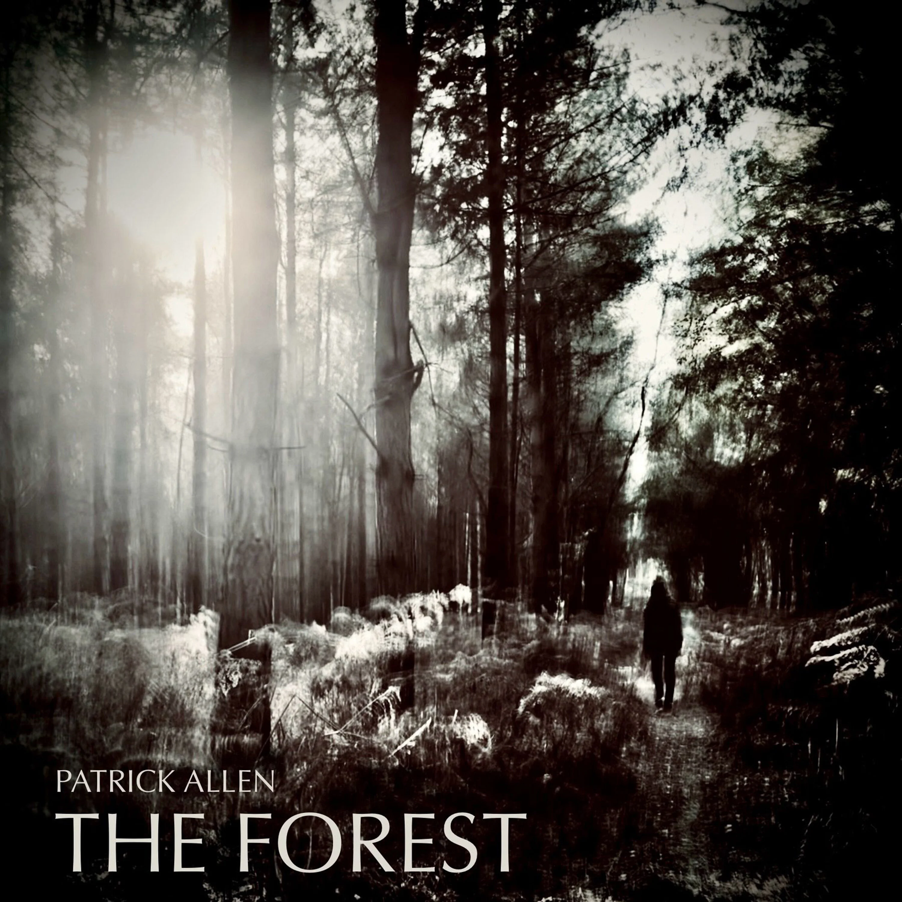 The Forest