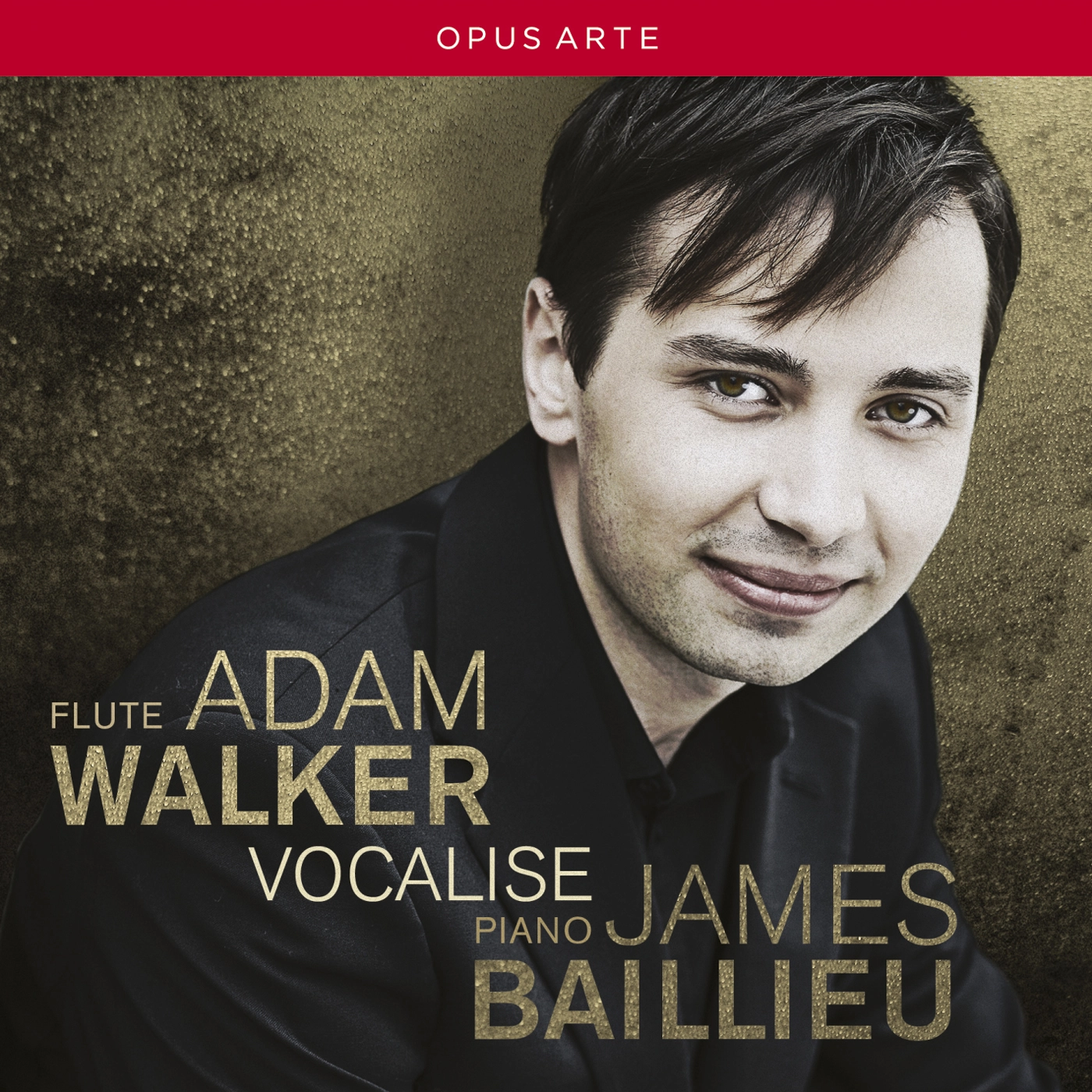 Wagner: Der Ring des Nibelungen - Great Scenes