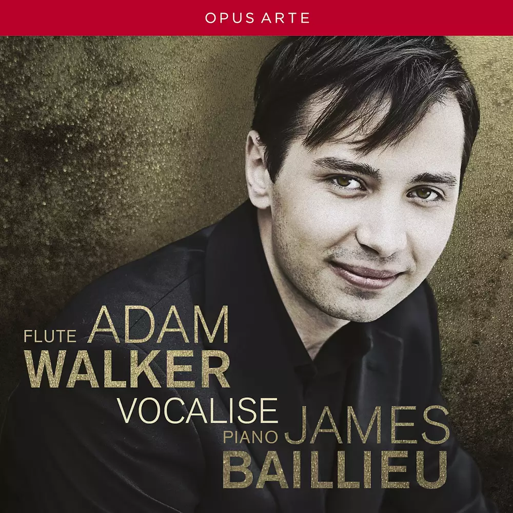 Wagner: Der Ring des Nibelungen - Great Scenes