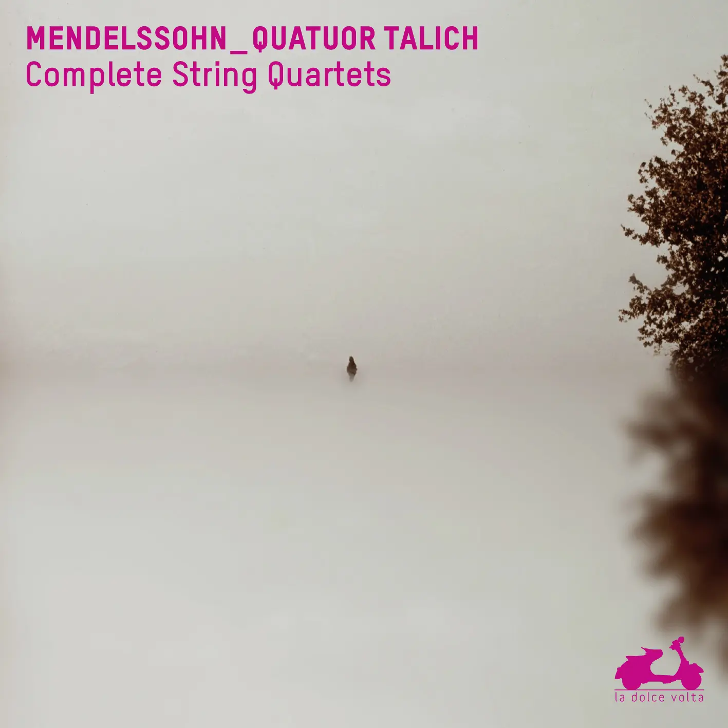 Mendelssohn : Intégrale des Quatuors