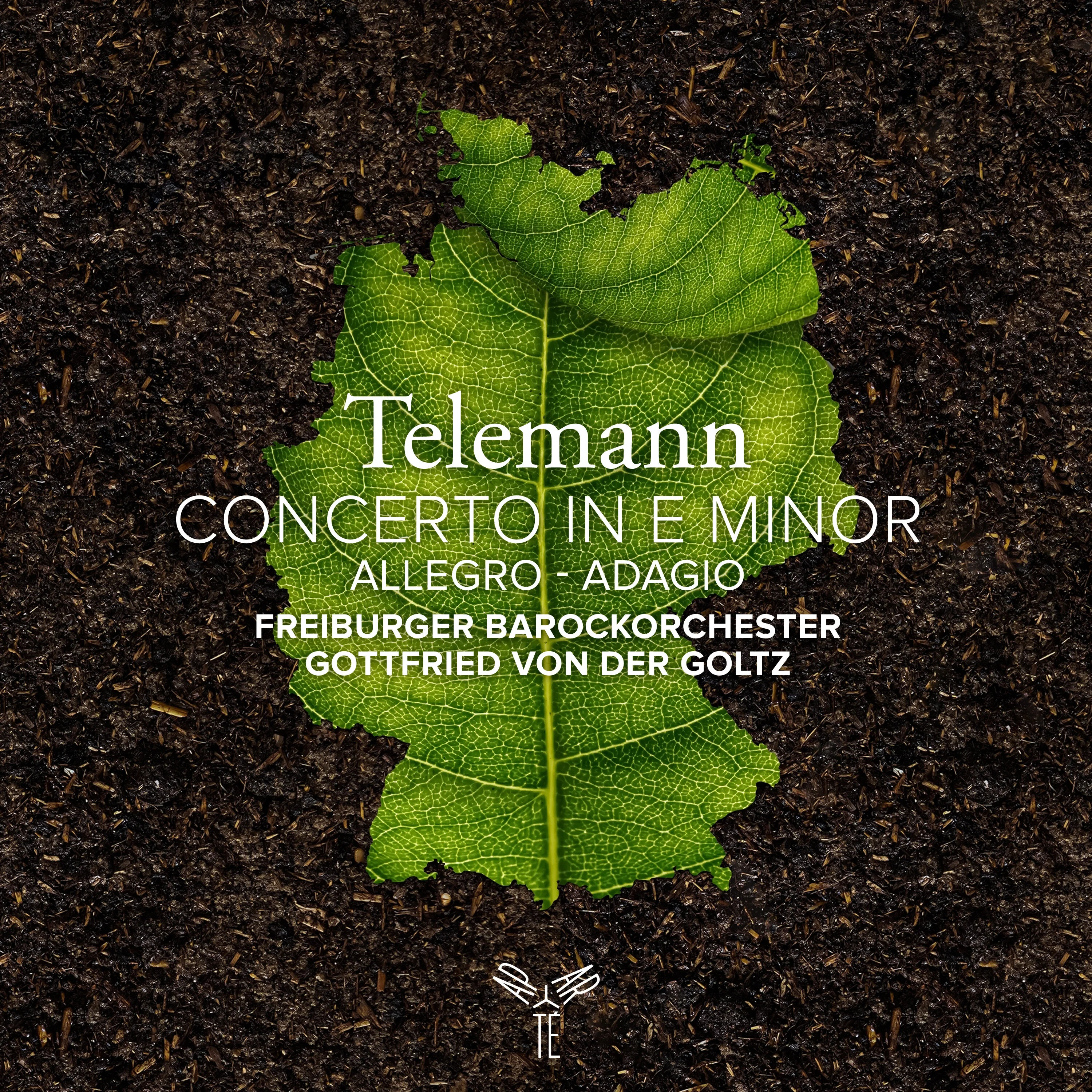 Telemann: Concerto for Flute and Violin in E Minor, TWV 52:e3: Allegro - Adagio